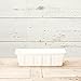 Novelty Poly-Pro Plastic Flower Box Planter, White, 18-Inch