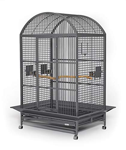 MidWest Homes for Pets Grande Bird Cage, Platinum Dome Top