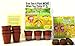 TickleMe Plant Deluxe Greenhouse Kit with 6 Color Paint Set for Kids with 10 Fun Activities. Grow The House Plant That Closes its Leaves