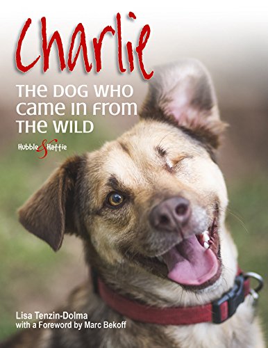 Charlie: The dog who came in from the wild by Lisa Tenzin-Dolma