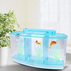 Isolatie aquarium, mini kweek aquarium kleine vis isolatie aquarium, hoge doorlaatbaarheid groot formaat voor kleine…