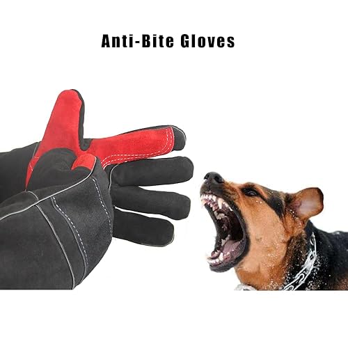 MEYEEBO Animal Handling Glove, Double Leather Reinforced Padding