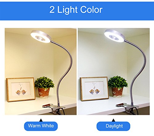 6W LED Clip on Reading Light,Rechargeable Book Light with USB Port for Bed Headborad Desk Laptop Piano,Eye-care 2 Light Color Switchable,Adapter Included(Black)