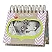 DaySpring Heartlifter Perpetual Flip Calendar w Tear Out Inspiration, God's Promises for New Moms