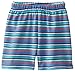 Zutano Baby Boys Periwinkle Multi Stripe Shorts