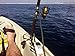 CK USA Made Kayak Paddle Leash Series, OD Green STD length or Black XL length Gear Leashes