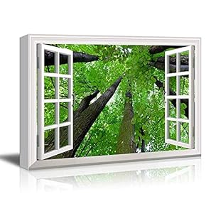 White Window Looking Out Into The Top of The Trees