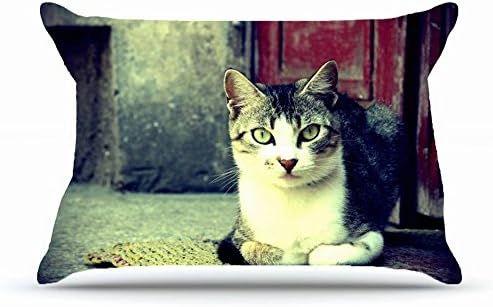 Xcdhhd Queen Pillowcase Size 20x30 Inches Cotton Pillowcases Decorative Pillow Cover Case with Hidden Zipper Decor Cushion Covers - Animals cat eyes wool nose mustache color photo color processing pic
