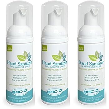 Amazon.com : CleanWell Botanical Foaming Hand Sanitizer ...