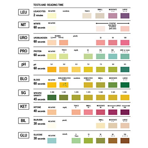 EZ Level 100 Urinary Tract Infection UTI Test Strips 10 Parameter