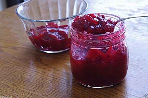 American Cranberry seeds - Vaccinium macrocarpon - used in a variety of sauces (300 Seeds)