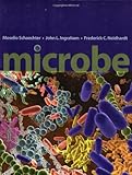 Microbe, Moselio Schaechter, John L. Ingraham, Frederick C. Neidhardt, 1555813208