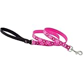 LupinePet Originals 3/4" Puppy Love 4-Foot Padded Handle Leash for Medium and Larger Dogs