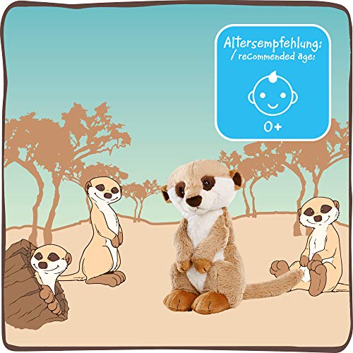 NICI Kuscheltier Erdmännchen 30 cm – Erdmännchen Plüschtier für Mädchen, Jungen & Babys – Flauschiges Stofftier Erdmännchen zum Kuscheln, Spielen und Schlafen – Gemütliches Schmusetier – 45850 – Bild 6