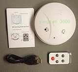 4GB Smoke Detector Hidden Spy Camera DVR with motion detection