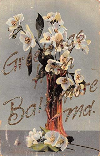 Baltimore Maryland Greetings Flowers in Vase Vintage Postcard JA455592