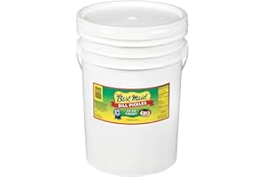 BEST MAID PRODUCTS Best Maid Dill Pickle 5 Gallons | Foodservice Bulk | Concession Stand Items | Gourmet | American Grown & Made | Take Home a Taste of Texas (Dill Pickle 60-80 Count)