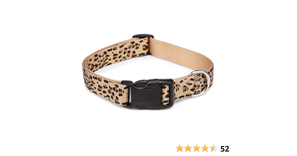 boy dog collars