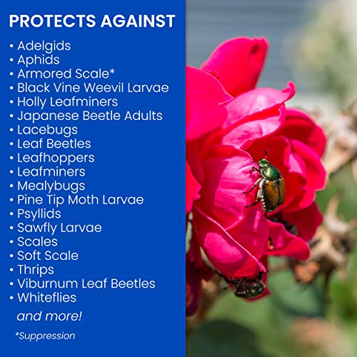 BioAdvanced 2In1 Systemic Rose and Flower Care II, Granules, 10 lb