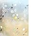 rabbitgoo Window Privacy Film, Frosted Glass Window Film, Stained Glass Removable Decorative Privacy Sticker, Non Adhesive UV Blocking Front Door Covering for Home, 3D Autumn Leaf, 35.4