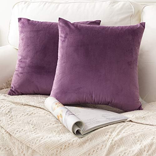 Heyhousenny Velvet Decorative Pillow Covers Solid Cushion Covers 18x18 for Couch Bedroom Pack of 2 (Light Purple)