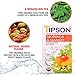 Tipson Organic Moringa Caffeine Free Herbal Tea - Mango Flavor - 25 Premium Double Chambered Bags -Superfood Tea - Keto/Paleo Diet Compatible