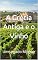 Livro A Grécia Antiga e o Vinho: Um Legado Milenar (Wines of the World)