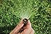 Rain Bird HEVAN12 High-Efficiency Spray Nozzle, 0° - 360° Adjustable Pattern, 10' - 12' Spray Distance
