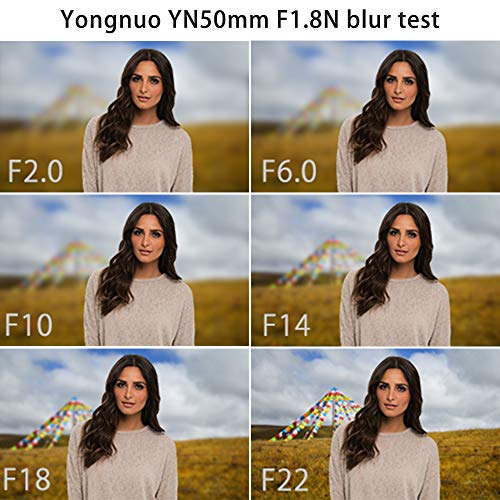 YONGNUO 50mm Standard Prime-Objectif F1.8 pour Appareil Photo numérique Nikon