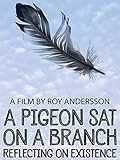 A Pigeon Sat on a Branch Reflecting on Existence