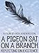 A Pigeon Sat on a Branch Reflecting on Existence