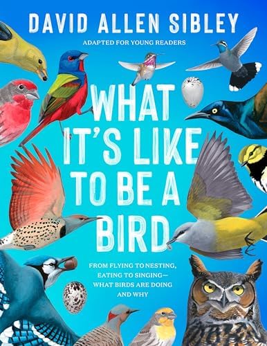 The Language of Birds: Lappano, Jon-Erik, Manbeck, Zach