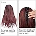 BLUPLE Ombre Micro Braided 1b Wine Red Synthetic Lace Front Wigs Fully Hand Tied Heat Resistant Hair Braiding Styles Fiber Hand Braided Wig for Black Women (18 inches, Micro Braided,T1B/Wine Red)