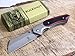 Buckshot Thumb Open Spring Assisted Stainless Steel Handle with Inlay Classic Razor Pocket Knife (Wood)
