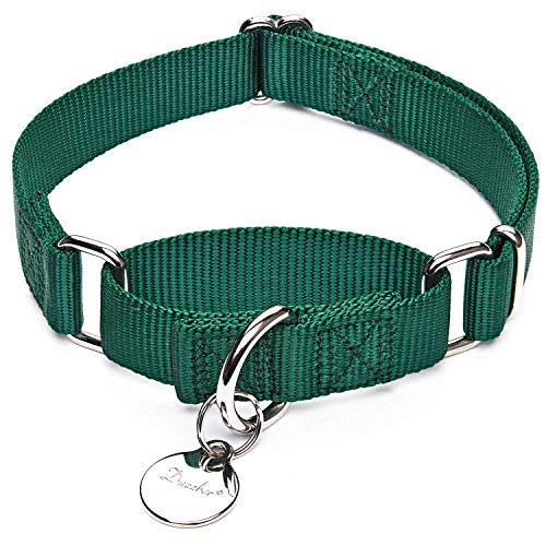 seat belt dog collar