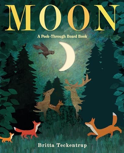 Moon: night-time around the world: Hegarty, Patricia, Teckentrup