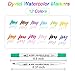 Dyvicl Watercolor Dual Brush Pens - 12 Colors Watercolor Markers with Fineliner 0.4 Markers Pen Set for Adult Coloring Books, Bullet Journal, Drawing, Highlighting, Sketching, Doodling, Lettering