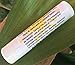 Lemon Balm Blister Soothing Care Stick! Quickly Soothe Cold Sores, Shingles, Chicken Pox, Rashes, Herpes, Molluscum, Bug Bites. Suppress Future outbreaks. 100% Natural.