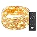 TaoTronics 33 ft 100 LED String Lights with RF Remote Control, Super Soft Copper Wire Waterproof Outdoor and Indoor Decorative Lights for Bedroom, Patio, Garden, Gate, Yard, and More