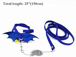 Turtle Harness and Leash with Wings Tortoise Leash