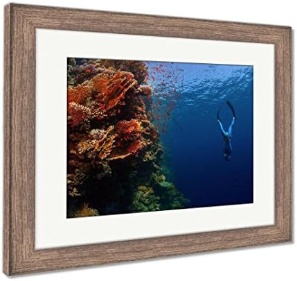 Ashley Framed Prints Freediver Descending Along The Vivid Reef Wall Red Sea Egypt, Wall Art Home Decoration, Color, 34x40 (frame size), Rustic Barn Wood Frame, AG4997002