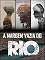 Livro A Margem Vazia do Rio