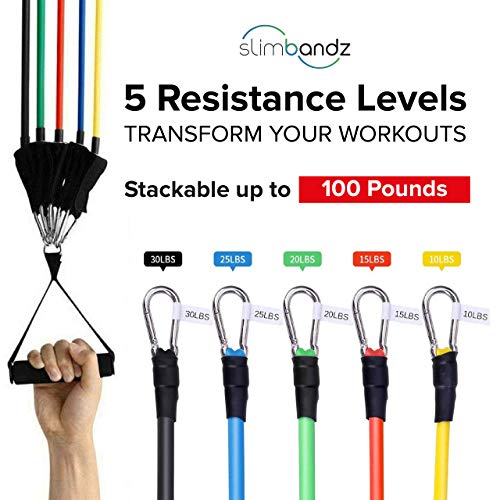 Resistance Bands Set for Workout Bands, Full Kit of Exercise Bands, 11 Piece Includes Door Anchor, Handles, Carrying Bag, and Ankle Straps.