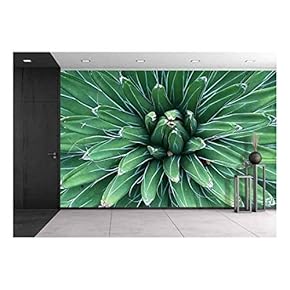 Sharp Pointed Agave Plant Leaves - Removable Wall Mural | Self-Adhesive Large Wallpaper - 66x96 inches