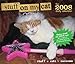 2008 Daily Calendar: Stuff on My Cat by 