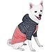 Blueberry Pet Winter Symphony Marled Color-block Knitted Unisex Designer Hooded Dog Sweater, Back Length 12