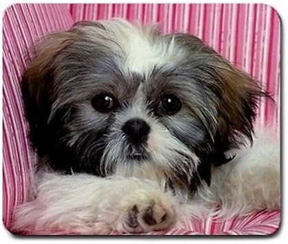 Shih Tzu Cute Puppy Large Mousepad Mouse Pad Amazon Com