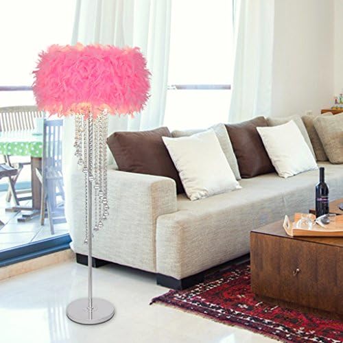 ETERN Crystal Tassel Floor Lamps Modern Simple Wedding Room Bedroom Living Room Feather Standard Lamp ( Color : Pink )
