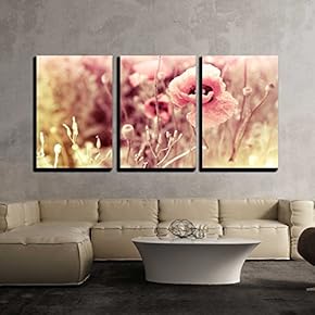 3 Piece Canvas Wall Art - Morning Flowers Meadow - Vintage Photo Background - Modern Home Art Stretched and Framed Ready to Hang - 16"x24"x3 Panels