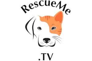 The Rescue Channel
